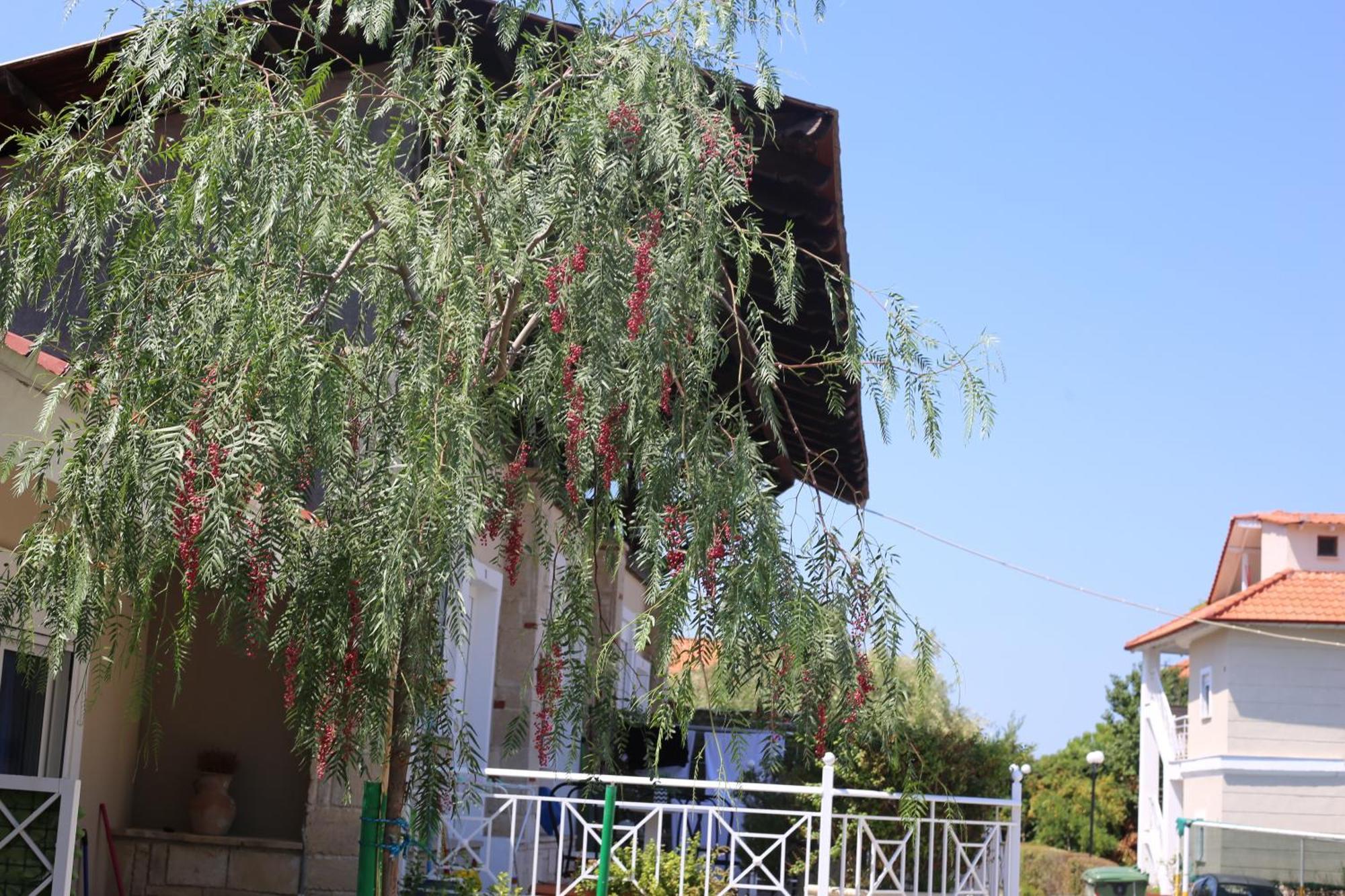 Golden Residence Family Resort ペフコホリ エクステリア 写真